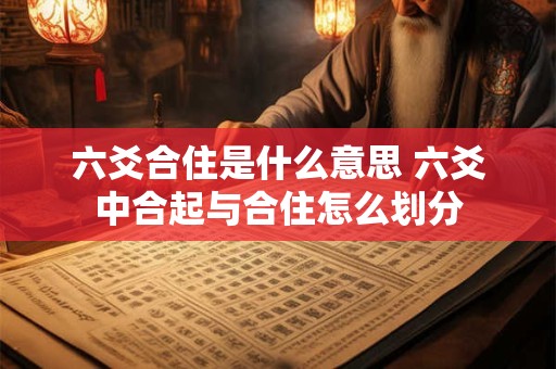六爻合住是什么意思 六爻中合起与合住怎么划分