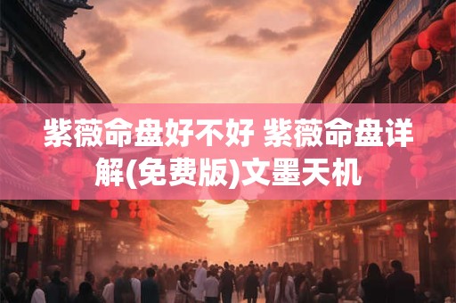 紫薇命盘好不好 紫薇命盘详解(免费版)文墨天机