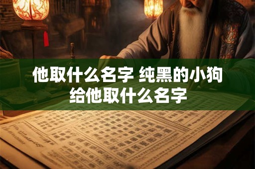 他取什么名字 纯黑的小狗给他取什么名字