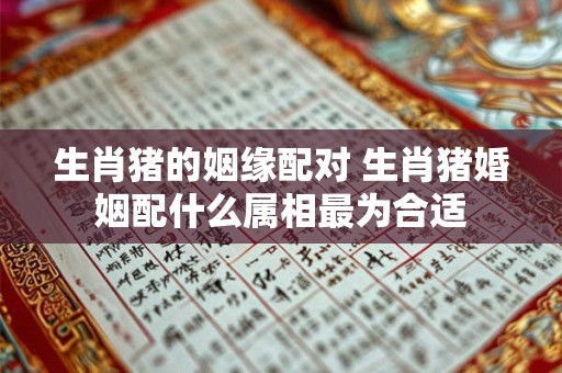 生肖猪的姻缘配对 生肖猪婚姻配什么属相最为合适