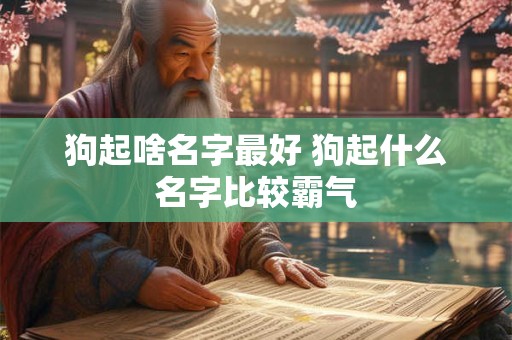 狗起啥名字最好 狗起什么名字比较霸气
