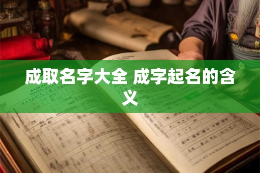 成取名字大全 成字起名的含义