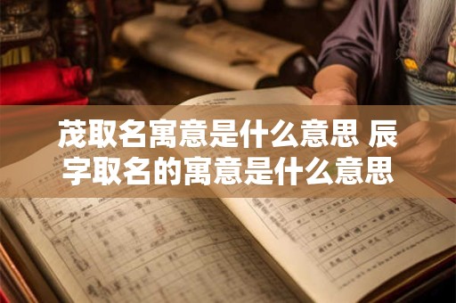 茂取名寓意是什么意思 辰字取名的寓意是什么意思