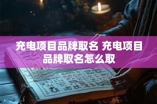 充电项目品牌取名 充电项目品牌取名怎么取