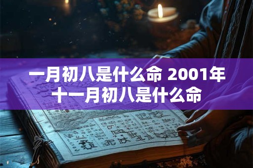 一月初八是什么命 2001年十一月初八是什么命