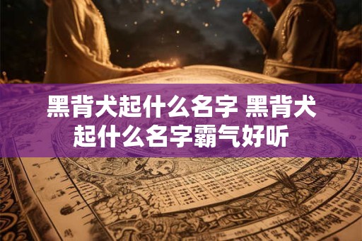 黑背犬起什么名字 黑背犬起什么名字霸气好听