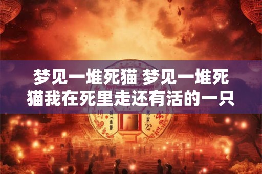 梦见一堆死猫 梦见一堆死猫我在死里走还有活的一只黑色的特别大孕妇