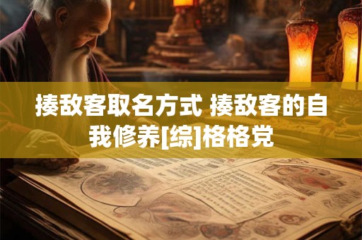 揍敌客取名方式 揍敌客的自我修养[综]格格党