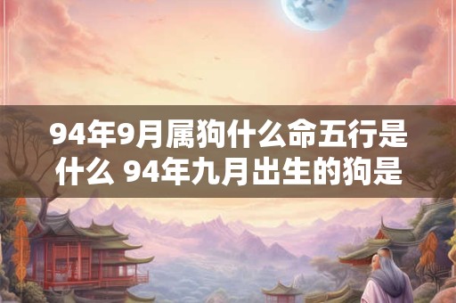 94年9月属狗什么命五行是什么 94年九月出生的狗是什么命 婚姻怎样