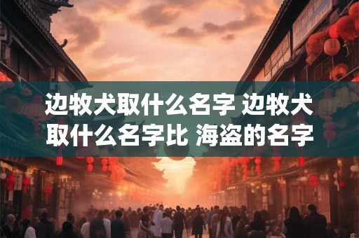 边牧犬取什么名字 边牧犬取什么名字比 海盗的名字相近(男的)