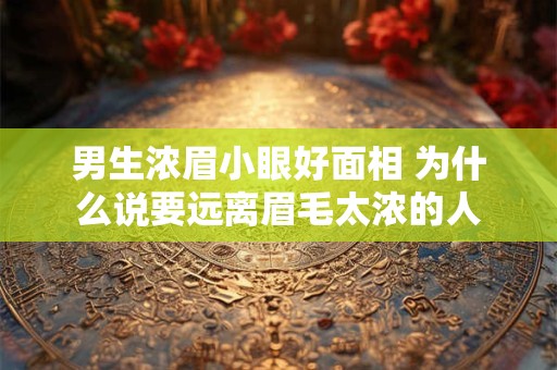 男生浓眉小眼好面相 为什么说要远离眉毛太浓的人