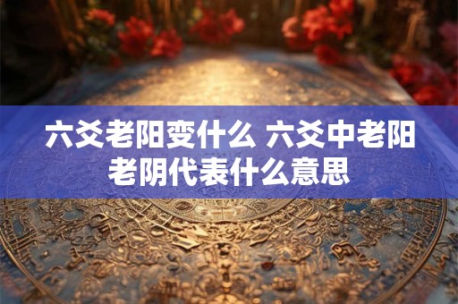 六爻老阳变什么 六爻中老阳老阴代表什么意思