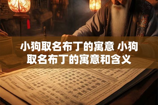 小狗取名布丁的寓意 小狗取名布丁的寓意和含义