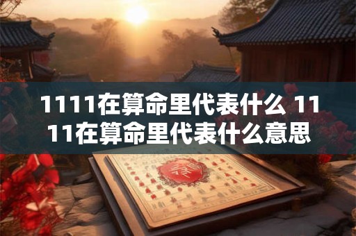 1111在算命里代表什么 1111在算命里代表什么意思