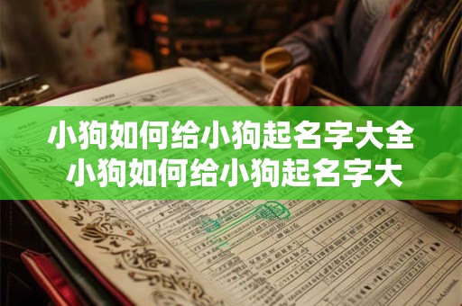 小狗如何给小狗起名字大全 小狗如何给小狗起名字大全四个字