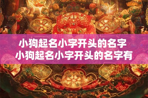 小狗起名小字开头的名字 小狗起名小字开头的名字有哪些