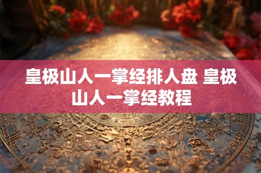 皇极山人一掌经排人盘 皇极山人一掌经教程