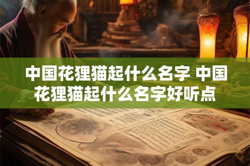 中国花狸猫起什么名字 中国花狸猫起什么名字好听点