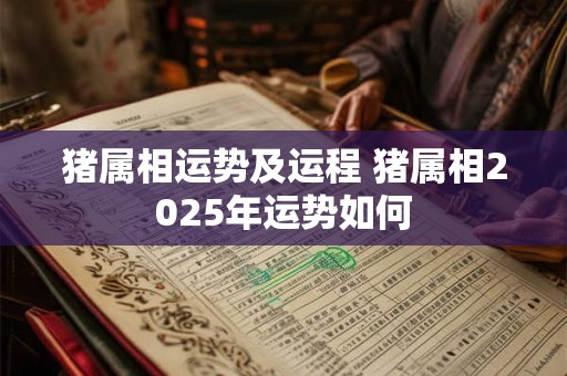 猪属相运势及运程 猪属相2025年运势如何
