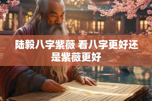 陆毅八字紫薇 看八字更好还是紫薇更好
