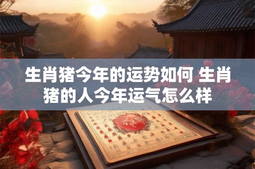生肖猪今年的运势如何 生肖猪的人今年运气怎么样