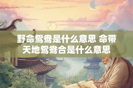 野命鸳鸯是什么意思 命带天地鸳鸯合是什么意思