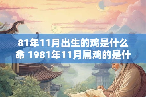 81年11月出生的鸡是什么命 1981年11月属鸡的是什么命属鸡38岁的命运