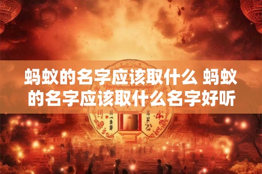蚂蚁的名字应该取什么 蚂蚁的名字应该取什么名字好听