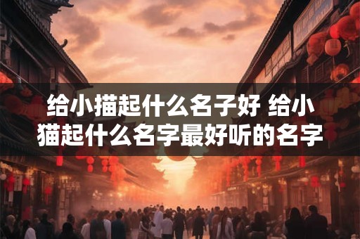 给小描起什么名子好 给小猫起什么名字最好听的名字