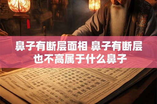 鼻子有断层面相 鼻子有断层 也不高属于什么鼻子