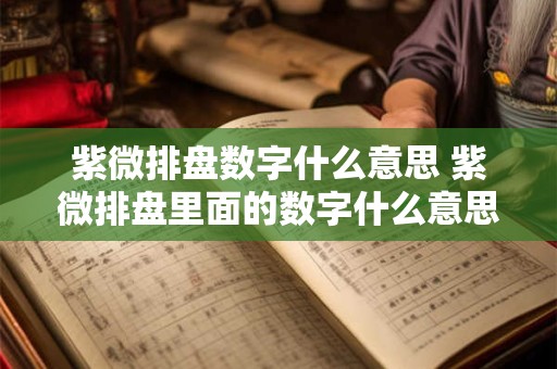 紫微排盘数字什么意思 紫微排盘里面的数字什么意思