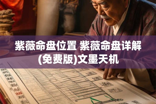 紫薇命盘位置 紫薇命盘详解(免费版)文墨天机