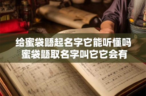 详细阅读:给蜜袋鼯起名字它能听懂吗 蜜袋鼯取名字叫它它会有反应吗 给蜜袋鼯起名字它能听懂吗 蜜袋鼯取名字叫它它会有反应吗