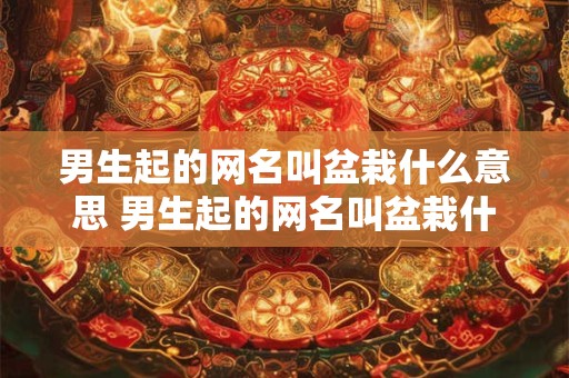 男生起的网名叫盆栽什么意思 男生起的网名叫盆栽什么意思呀
