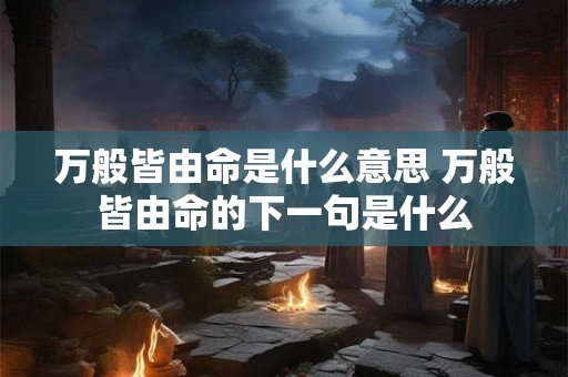 万般皆由命是什么意思 万般皆由命的下一句是什么