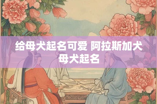 给母犬起名可爱 阿拉斯加犬母犬起名