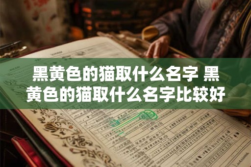 黑黄色的猫取什么名字 黑黄色的猫取什么名字比较好