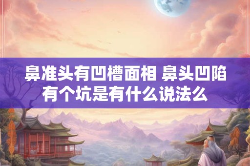 鼻准头有凹槽面相 鼻头凹陷有个坑是有什么说法么
