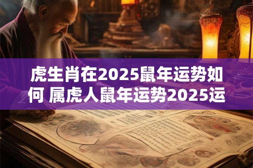 虎生肖在2025鼠年运势如何 属虎人鼠年运势2025运势详解