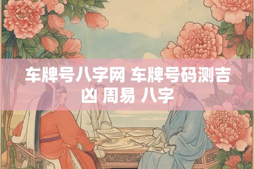 车牌号八字网 车牌号码测吉凶 周易 八字