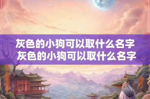 灰色的小狗可以取什么名字 灰色的小狗可以取什么名字寓意好听