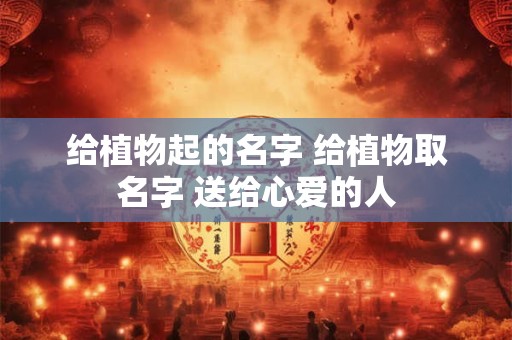 给植物起的名字 给植物取名字 送给心爱的人