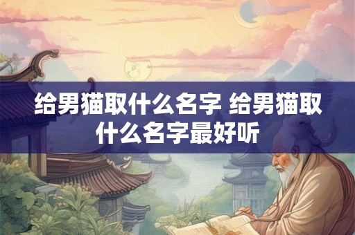 给男猫取什么名字 给男猫取什么名字最好听
