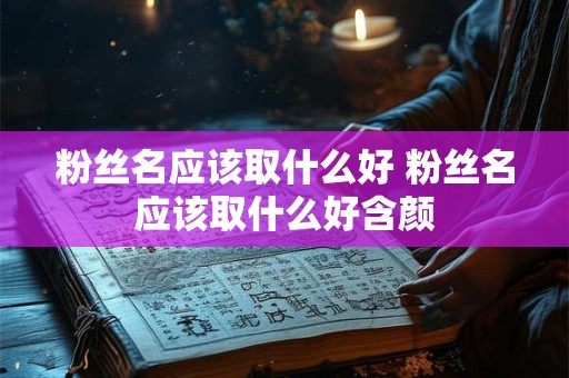 粉丝名应该取什么好 粉丝名应该取什么好含颜