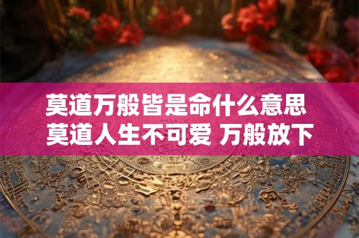 莫道万般皆是命什么意思 莫道人生不可爱 万般放下皆自在什么意思