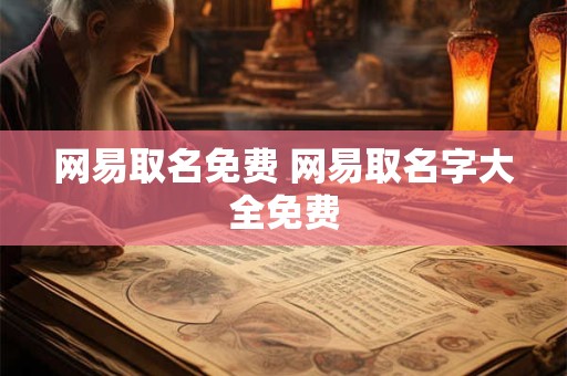 网易取名免费 网易取名字大全免费