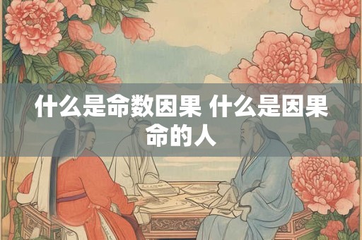 什么是命数因果 什么是因果命的人