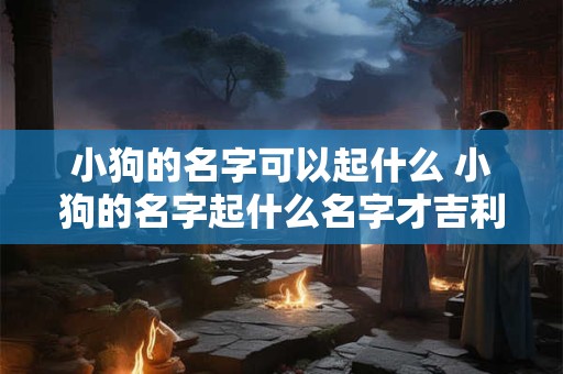 小狗的名字可以起什么 小狗的名字起什么名字才吉利