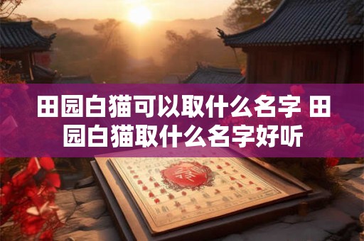 田园白猫可以取什么名字 田园白猫取什么名字好听