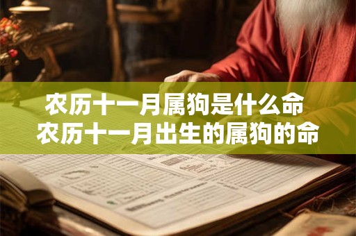 农历十一月属狗是什么命 农历十一月出生的属狗的命好吗